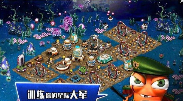 寻找沙漠珍宝